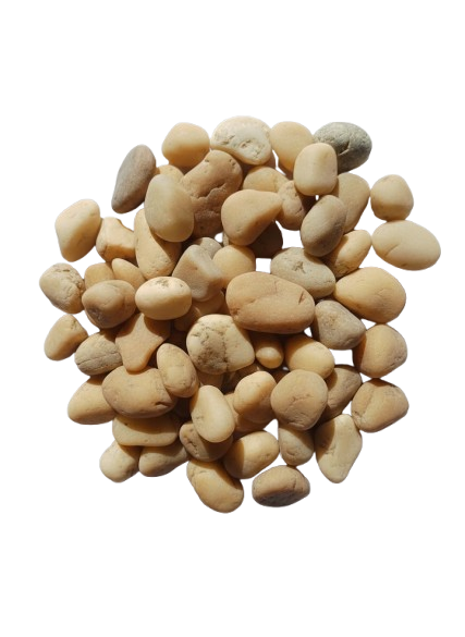 gemini generated image b0adkkb0adkkb0ad 1 removebg preview