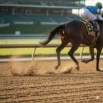 whatsapp image 2026 01 17 at 2.44.13 am