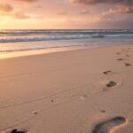 Beach sand whatsapp image 2026 01 17 at 2.52.31 am