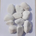 whatsapp image 2026 01 17 at 2.56.30 am (1)