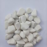 whatsapp image 2026 01 17 at 2.56.30 am