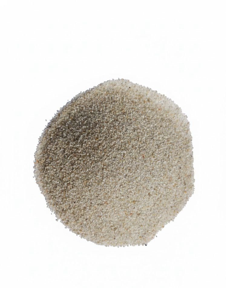 whatsapp image 2026 01 21 at 3.58.19 am