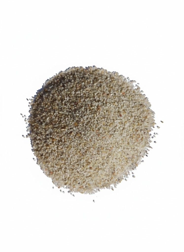 whatsapp image 2026 01 26 at 2.11.56 am