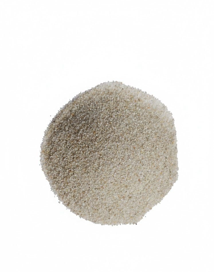 whatsapp image 2026 01 26 at 2.14.31 am