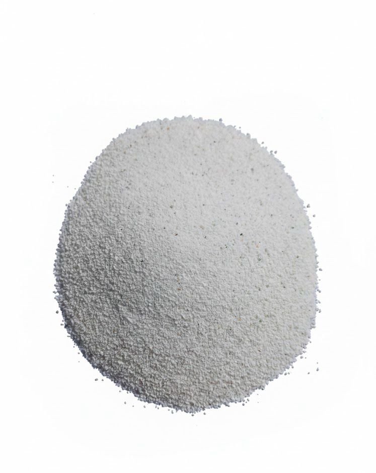 whatsapp image 2026 01 26 at 2.26.12 am