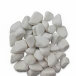 whatsapp image 2026 01 26 at 2.31.18 am