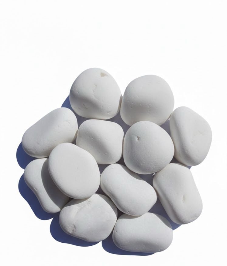 whatsapp image 2026 01 26 at 2.33.22 am