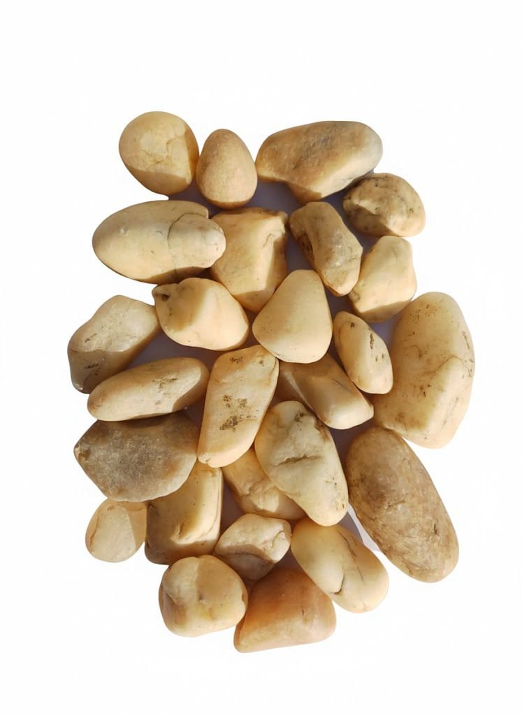 whatsapp image 2026 01 26 at 2.37.23 am