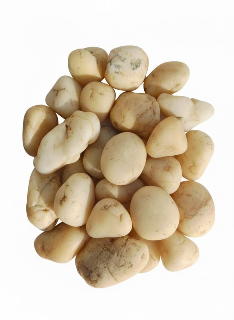 whatsapp image 2026 01 26 at 2.38.35 am