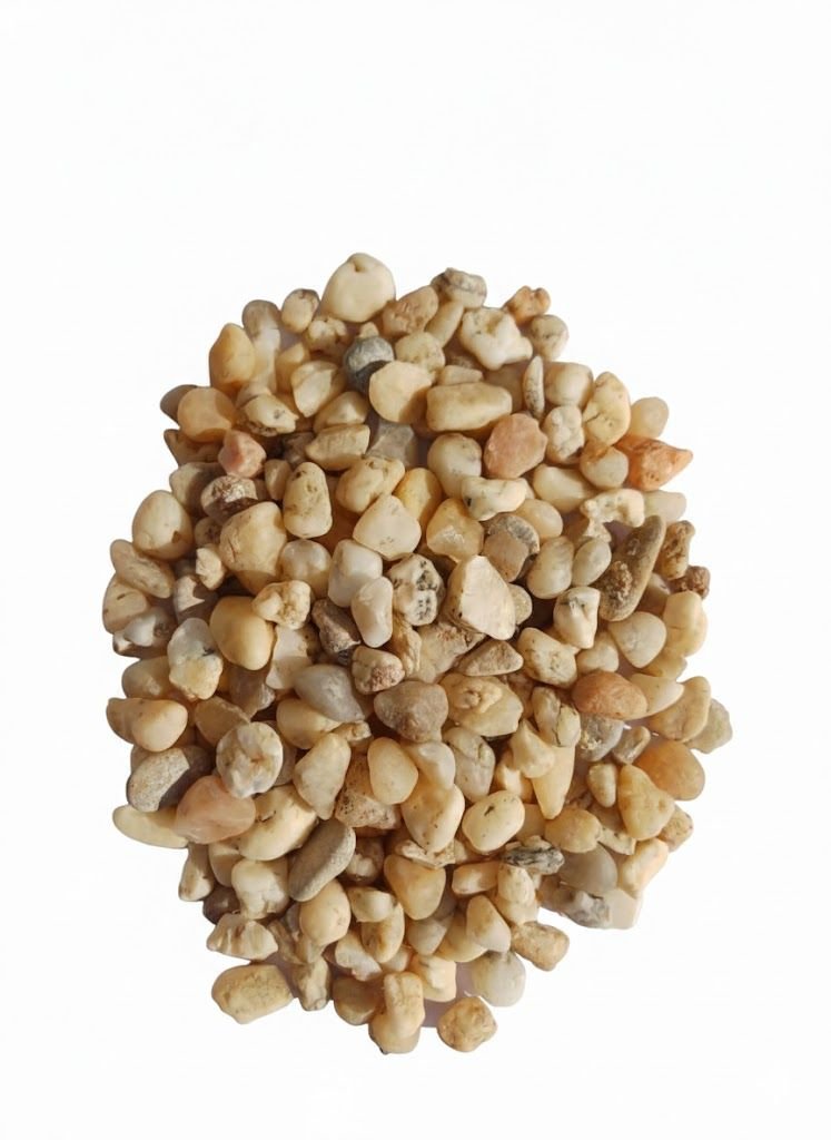 whatsapp image 2026 01 26 at 2.40.55 am