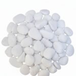 whatsapp image 2026 01 26 at 4.02.44 am