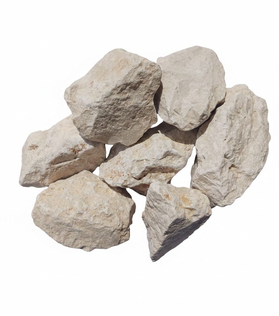 whatsapp image 2026 01 28 at 3.38.39 am