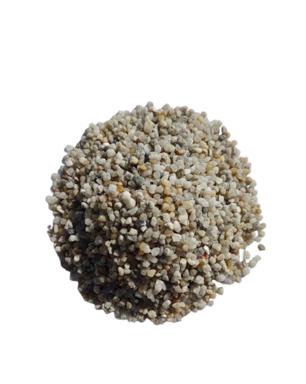 whatsapp image 2026 01 26 at 2.18.17 am removebg preview